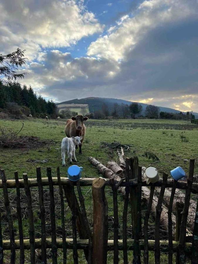 Aughavannagh Yurt Glamping Hotel Aughrim Exterior foto